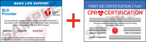 Sample American Heart Association AHA BLS CPR Card Certificaiton and First Aid Certification Card from CPR Certification Irvine